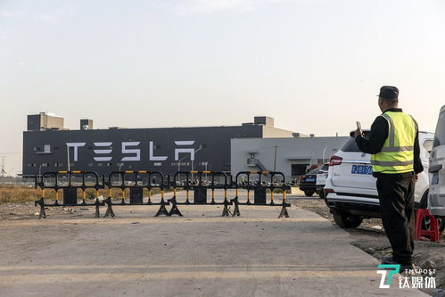 疫情下的中国车市 上游断供 销售停滞,疫情后需求仍是未知数