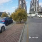 "联煌驾校(集美练车点)"的全部点评-厦门学习培训-网移动版