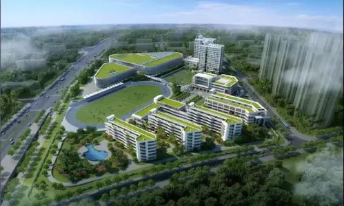 开挂了 全国第五 多项全国首创创新举措 厦门又被夸了