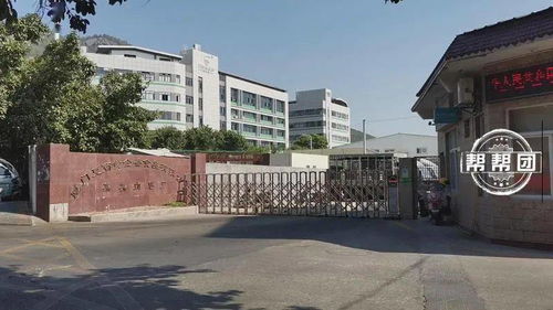 强行给活牛注水 道德沦丧与监管挑战