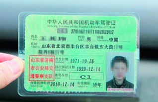 弛安驾校全国招生培训 专业驾驶教育，安全出行保障