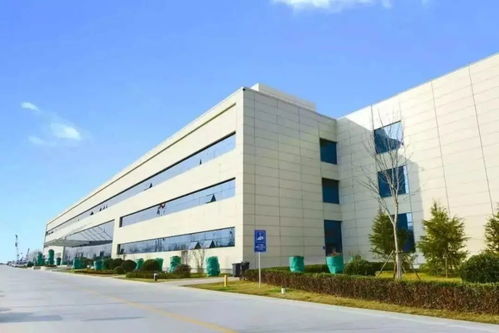 土地流转前出现哪些情况土地被收回？土地流转5种情况可以收回